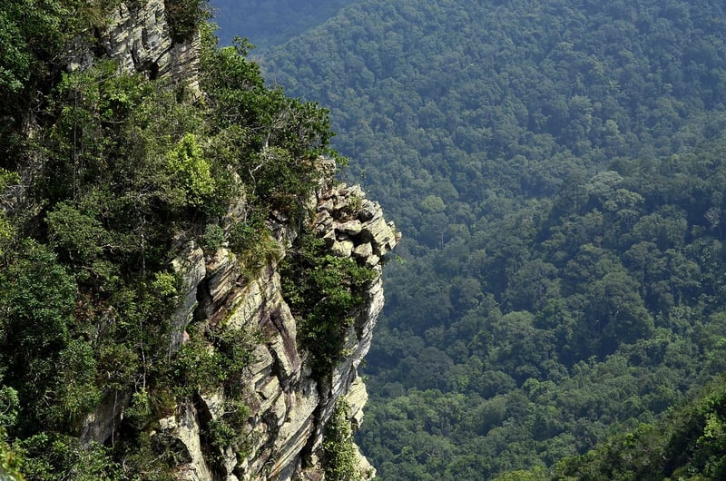 Rainforest Adventures